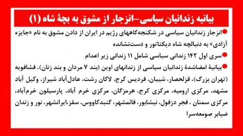 بیانیه زندانیان سیاسی - انزجار از مشوق به بچهٔ شاه