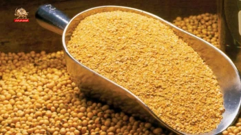 غارتگری در واردات کنجاله سویا؛ چرا هزینه فساد را مردم و مرغداران می‌پردازند؟