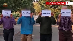 ۶۰ پراتیک انقلابی؛ ۷ آبان سالروز کوروش